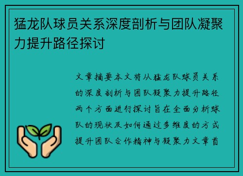 猛龙队球员关系深度剖析与团队凝聚力提升路径探讨