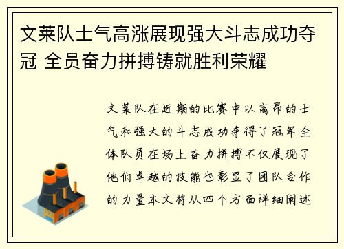 文莱队士气高涨展现强大斗志成功夺冠 全员奋力拼搏铸就胜利荣耀