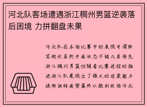 河北队客场遭遇浙江稠州男篮逆袭落后困境 力拼翻盘未果